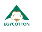 Egycotton