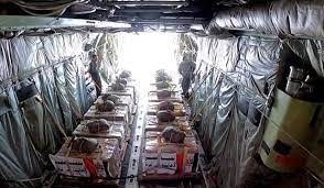 Egyptian Air Force continues airdropping humanitarian aid into Gaza