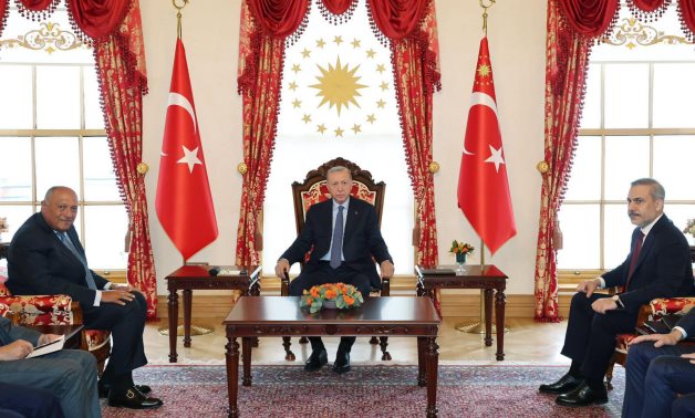 Egypt aims to double trade with Turkey to $15 billion: Shoukry to Erdogan