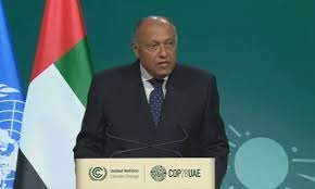 Egypt’s FM at IGWEL: Immediate ceasefire in Gaza is a must