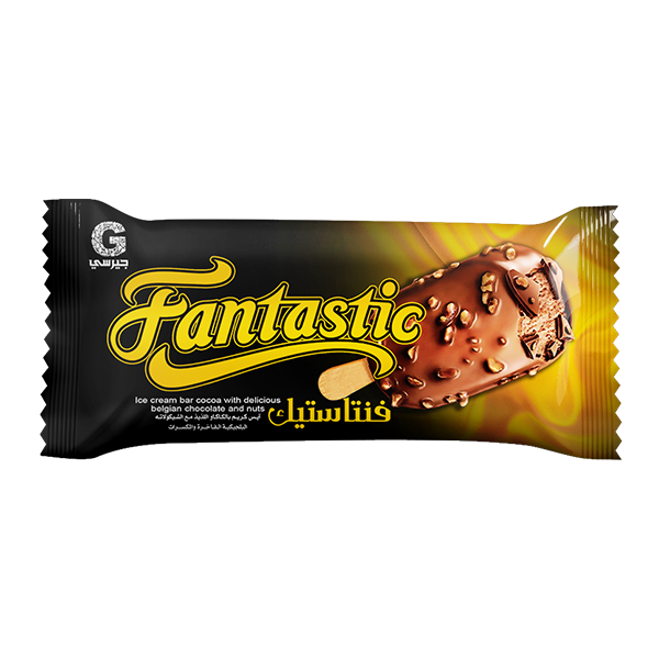 Fantastic Stick Chocolate Ice Cream