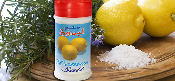 El Nasr Salines Company