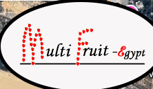 Multi fruit Egypt