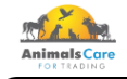 Animals Care